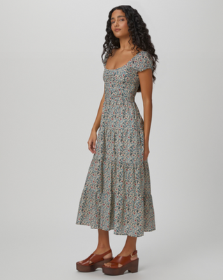 Marchella Dress - Botanical Blue Multi