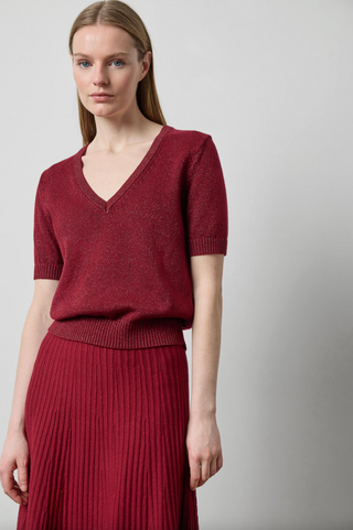 Short Sleeve V-Neck Sparkle Sweater - Wineberry Sparkle
