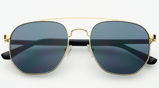 Austin Mens Sunglasses - Gold/Gray