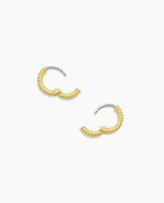 Reed Hoops - Gold