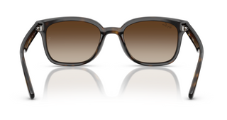 0RB4461D - Havana Gradient Brown