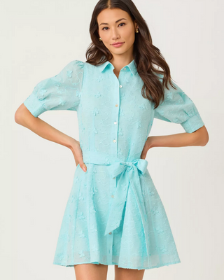 Larkyn Shirtdress - Day Dream Blue Monarch Embroidered