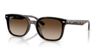0RB4461D - Havana Gradient Brown
