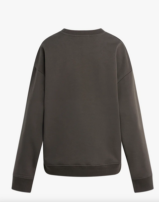 Collegiate Sweatshirt - Coffee / Gardenia