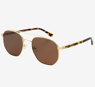 Austin Unisex Sunglasses - Gold / Brown