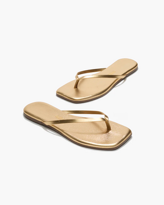 Square Toe Lily - Blink