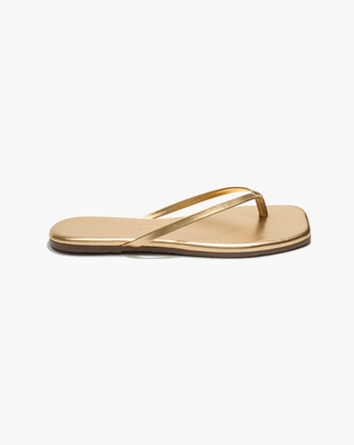Square Toe Lily - Blink