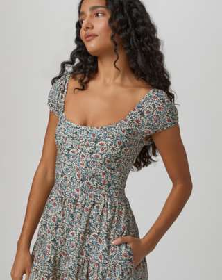 Marchella Dress - Botanical Blue Multi