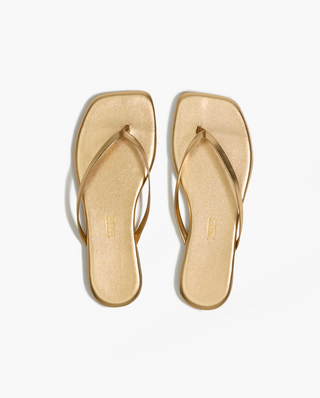 Square Toe Lily - Blink